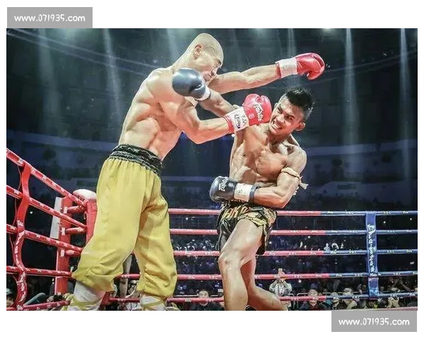 罗宾对决播求巅峰之战技术风格碰撞引爆拳坛热议世界级擂台荣誉之争