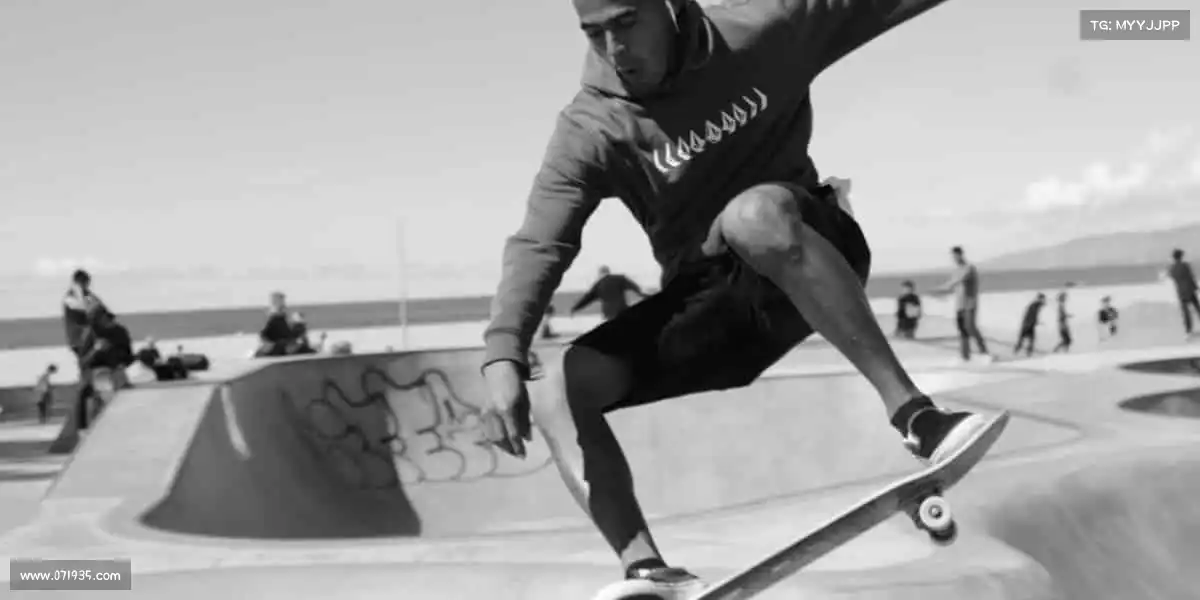 行业领先的理由